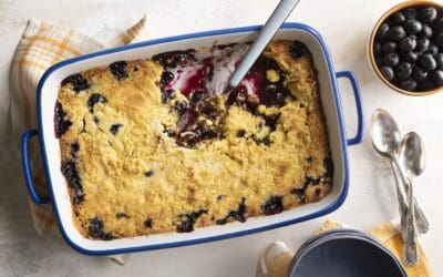 BLUEBERRY DUMP CAKE & FIZZY FESTIVE FRUIT COCKTAIL CUBES BY KATE DEVINE
