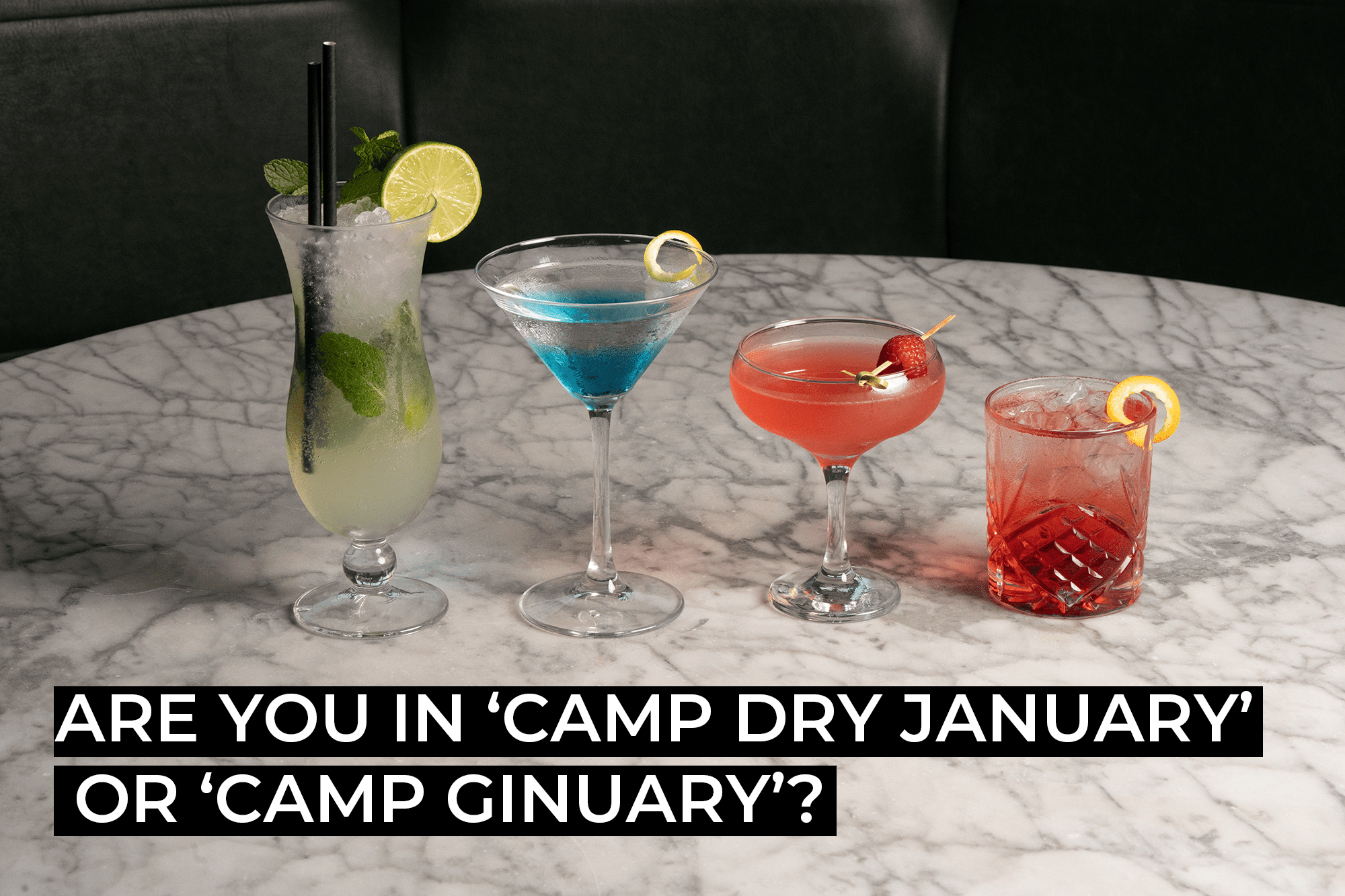 Are you camp Dry January or camp Ginuary? Cocktail Recipes for both!