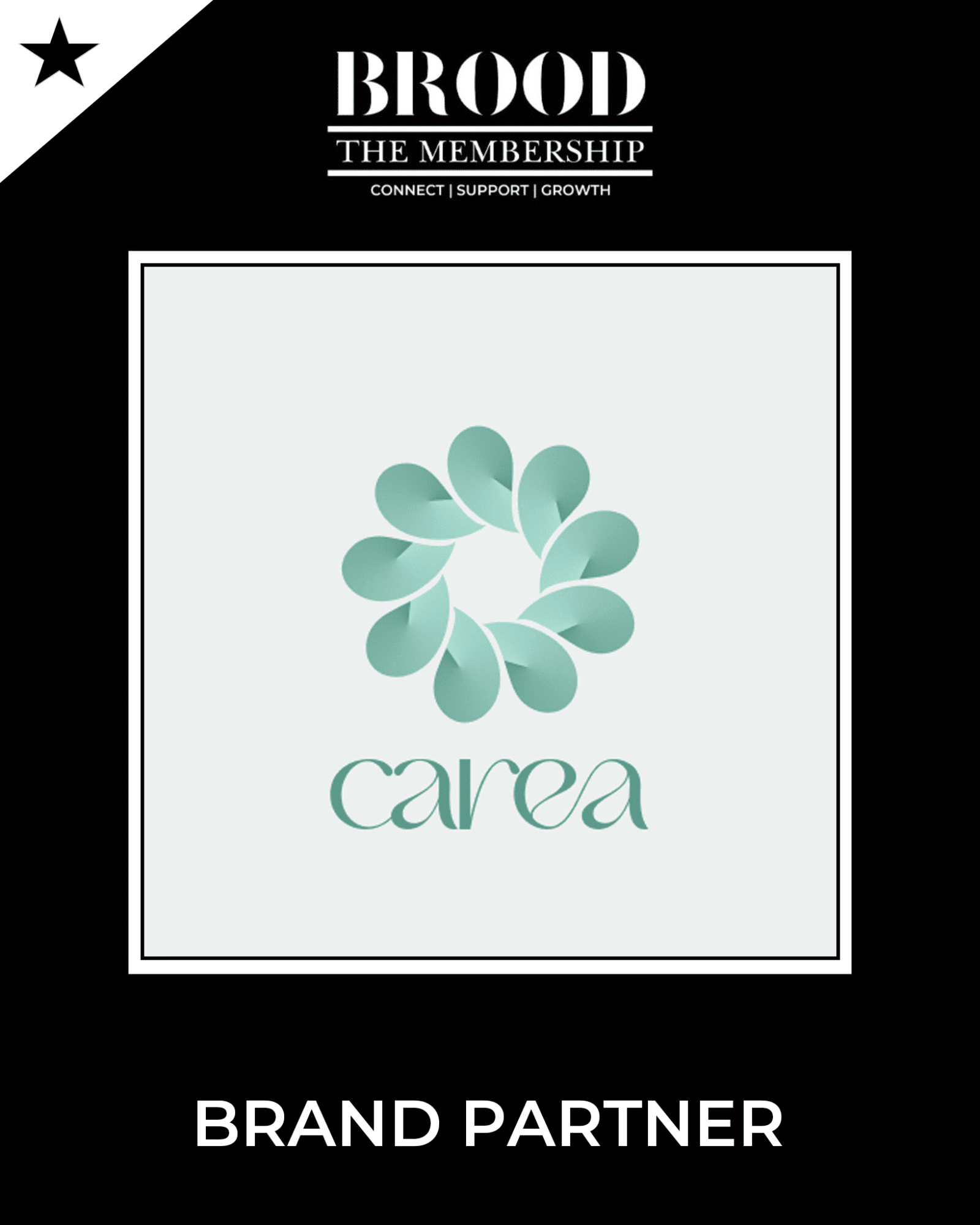 Carea App: Pregnancy & Postpartum Care
