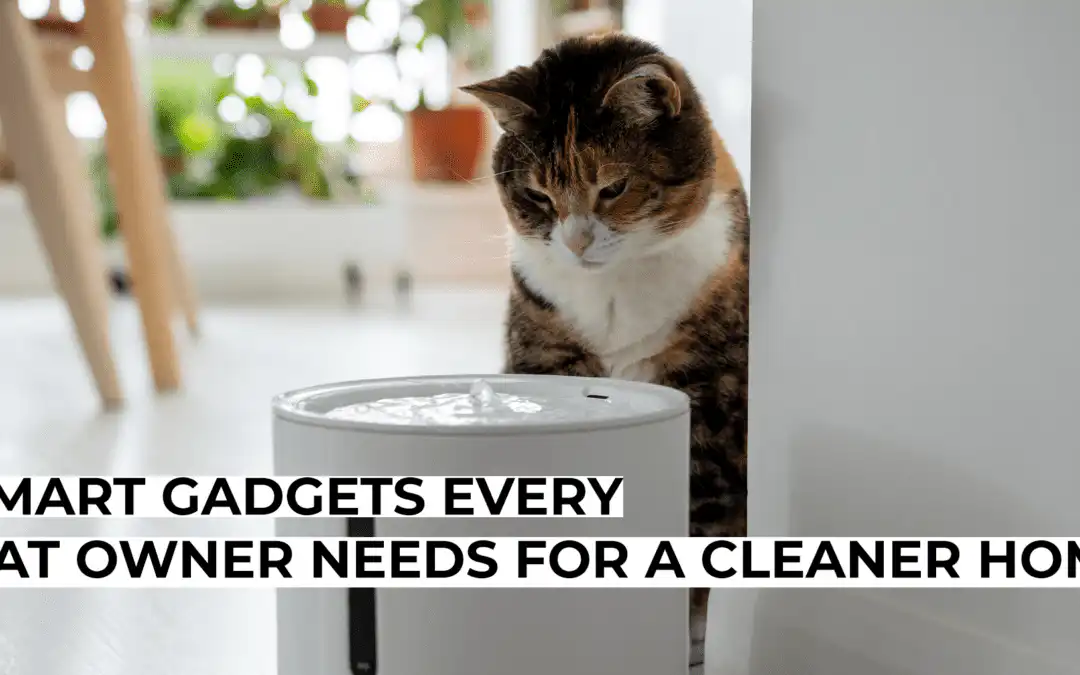 Smart Gadgets Every Cat Owner Needs for a Cleaner Home