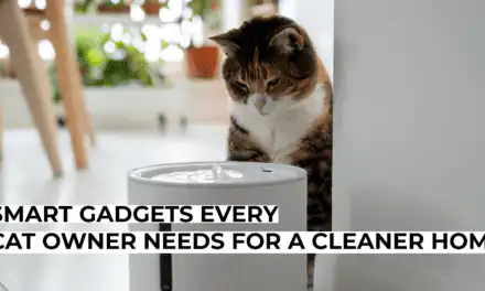 Smart Gadgets Every Cat Owner Needs for a Cleaner Home