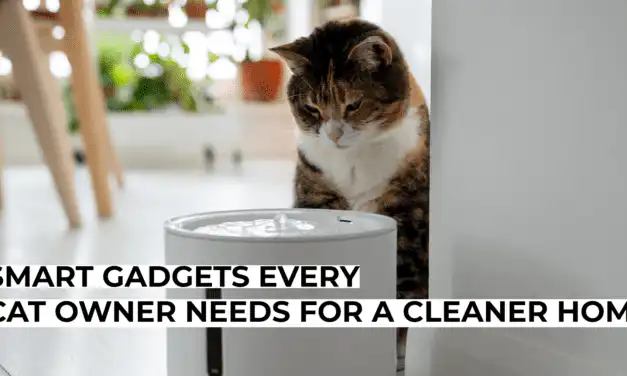 Smart Gadgets Every Cat Owner Needs for a Cleaner Home