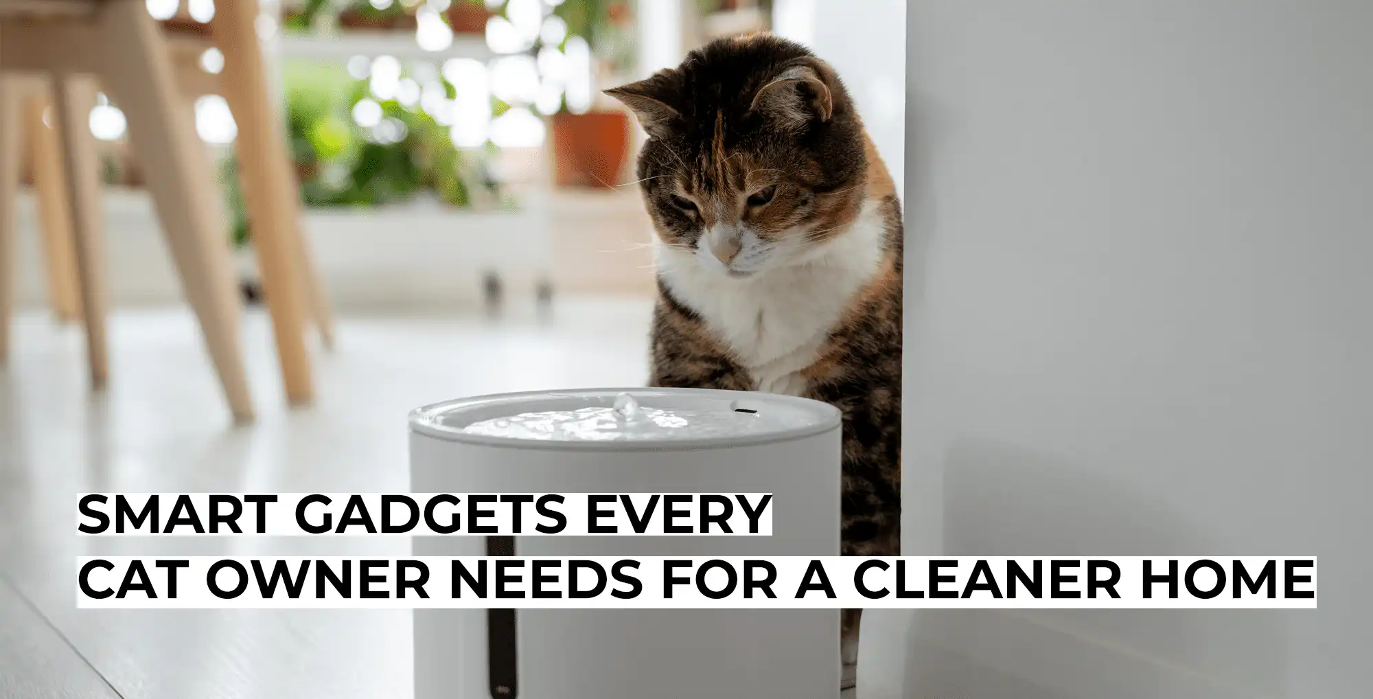 Smart Gadgets Every Cat Owner Needs for a Cleaner Home