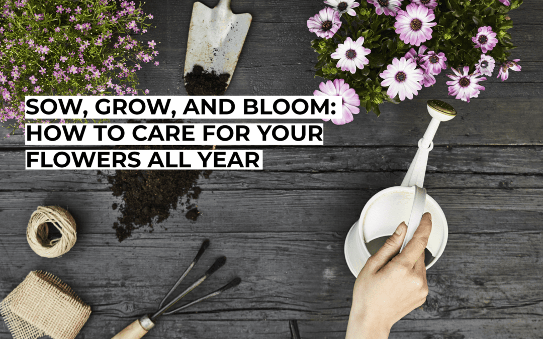 Sow, Grow, and Bloom: How to Care for Your Flowers All Year