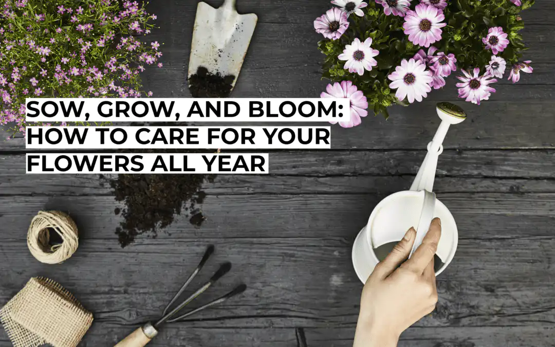 Sow, Grow, and Bloom: How to Care for Your Flowers All Year