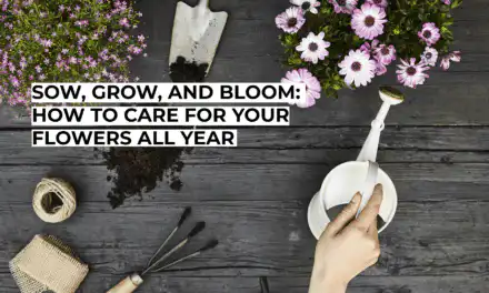 Sow, Grow, and Bloom: How to Care for Your Flowers All Year