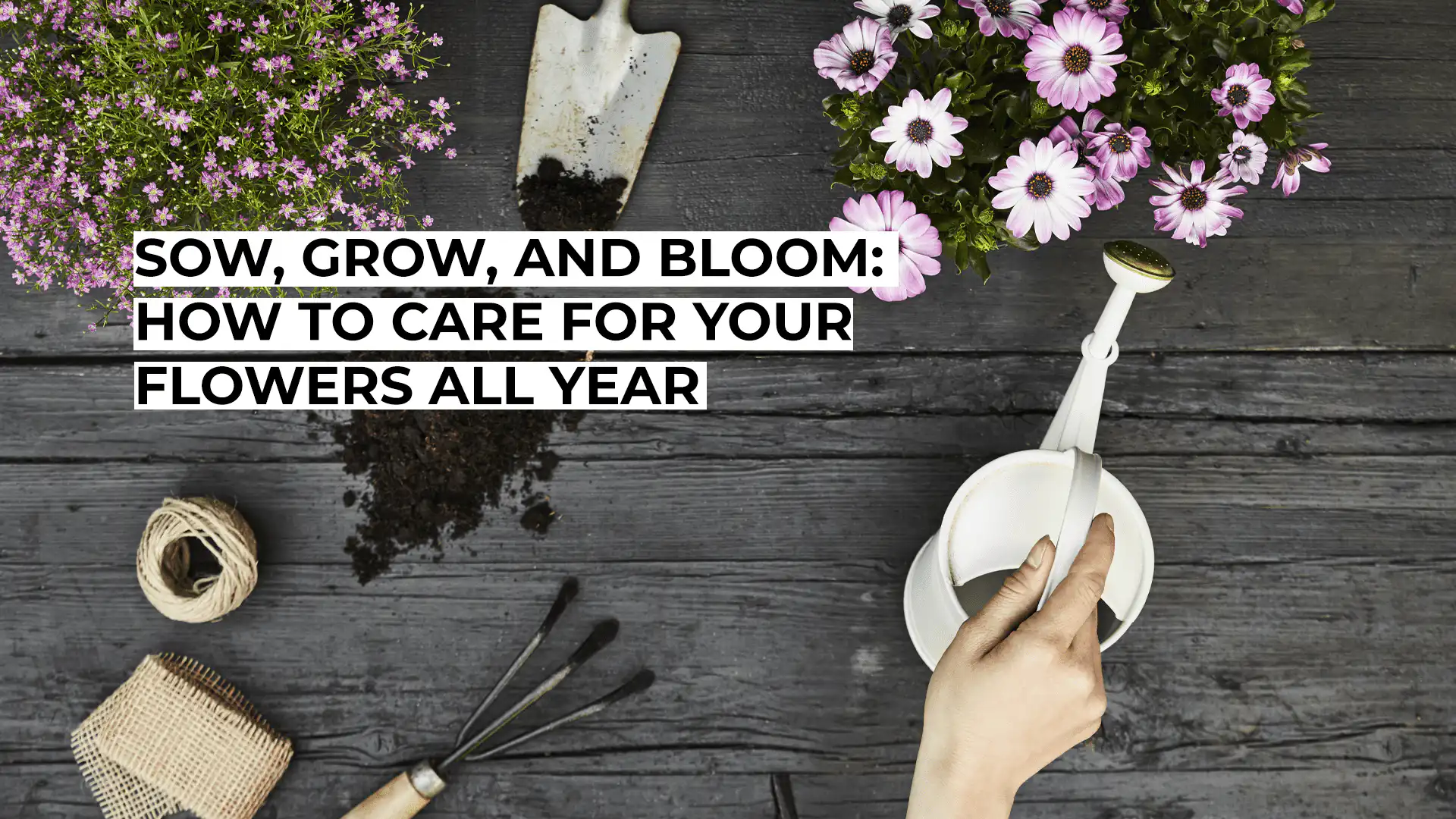 How to Care for Your Flowers All Year
