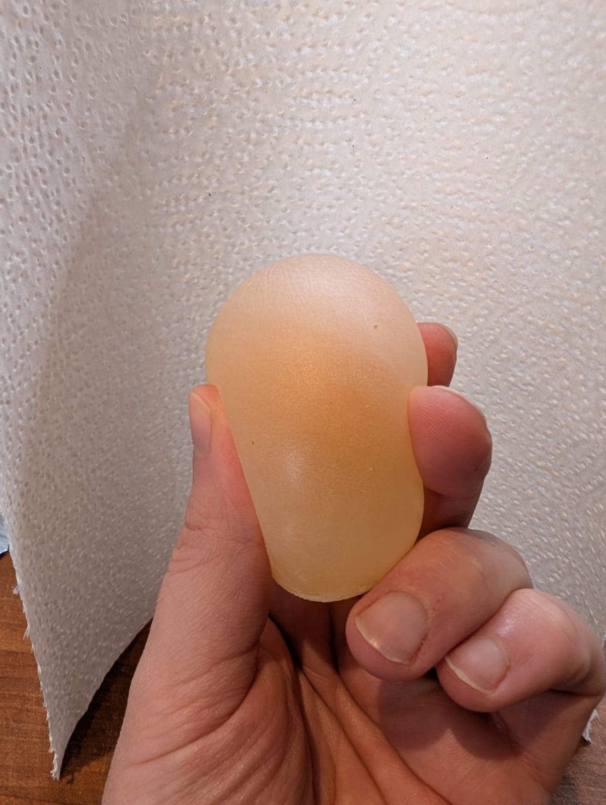 ‘rubber egg’ experiment 