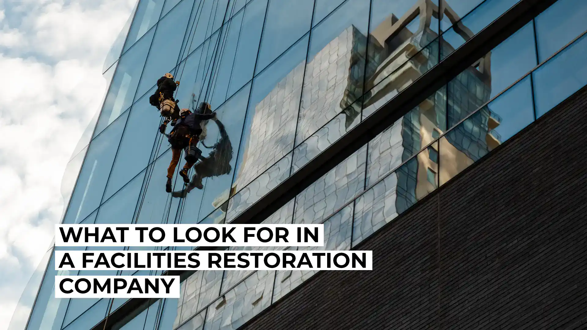 Window cleaning on a modern glass building with a worker using a harness.