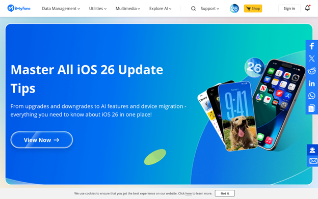 iMyFone Interface
