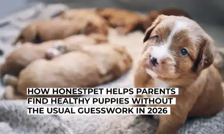 How HonestPet Helps Parents Find Healthy Puppies Without the Usual Guesswork in 2026