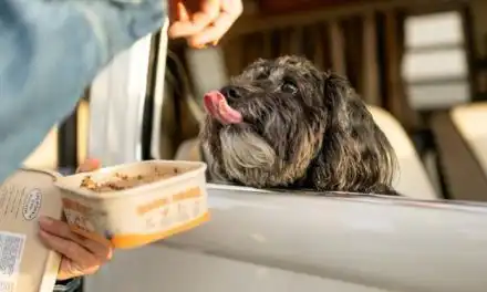 Why Fresh, Gently-Cooked Dog Food Might Be the Health Boost Your Dog Needs