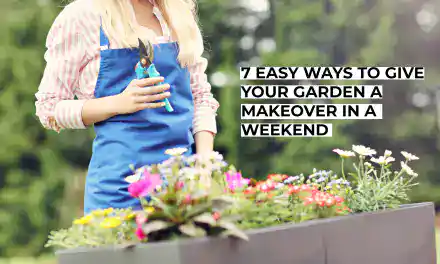 7 Easy Ways to Give Your Garden a Makeover in a Weekend