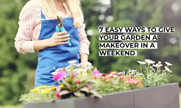 7 Easy Ways to Give Your Garden a Makeover in a Weekend